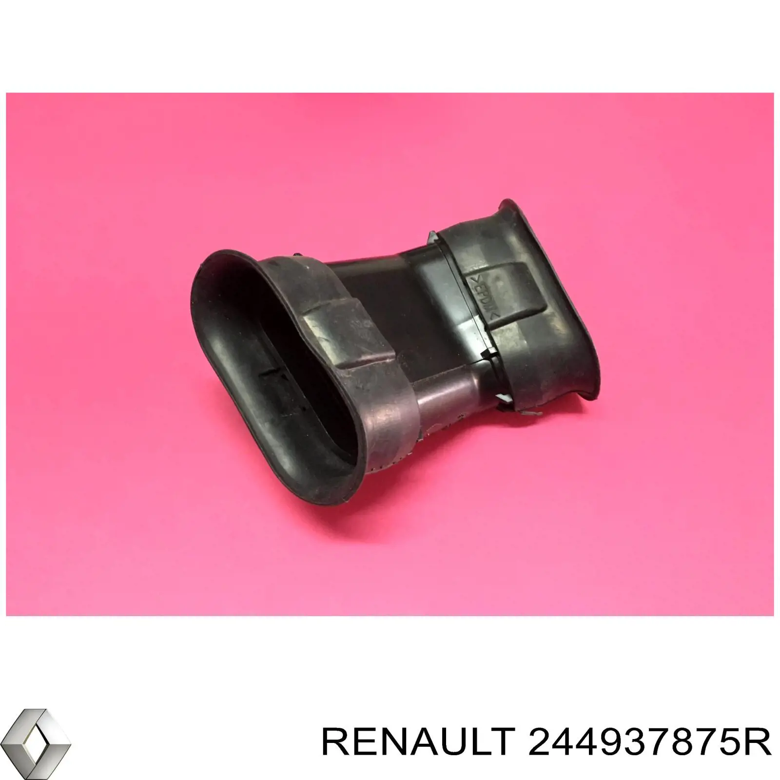  244937875R Renault (RVI)