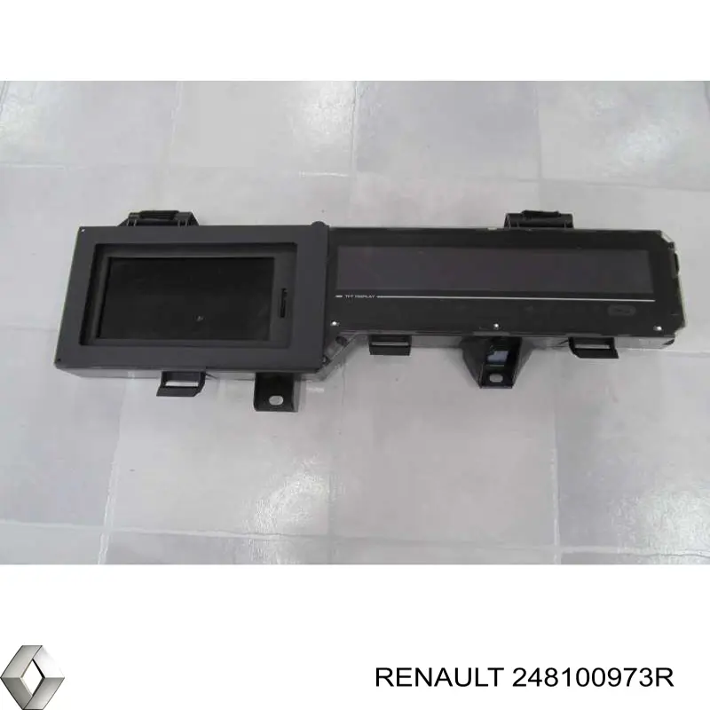 248100973R Renault (RVI) 