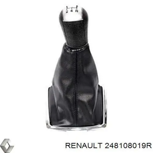 Панель приборов 248108019R Renault (RVI)