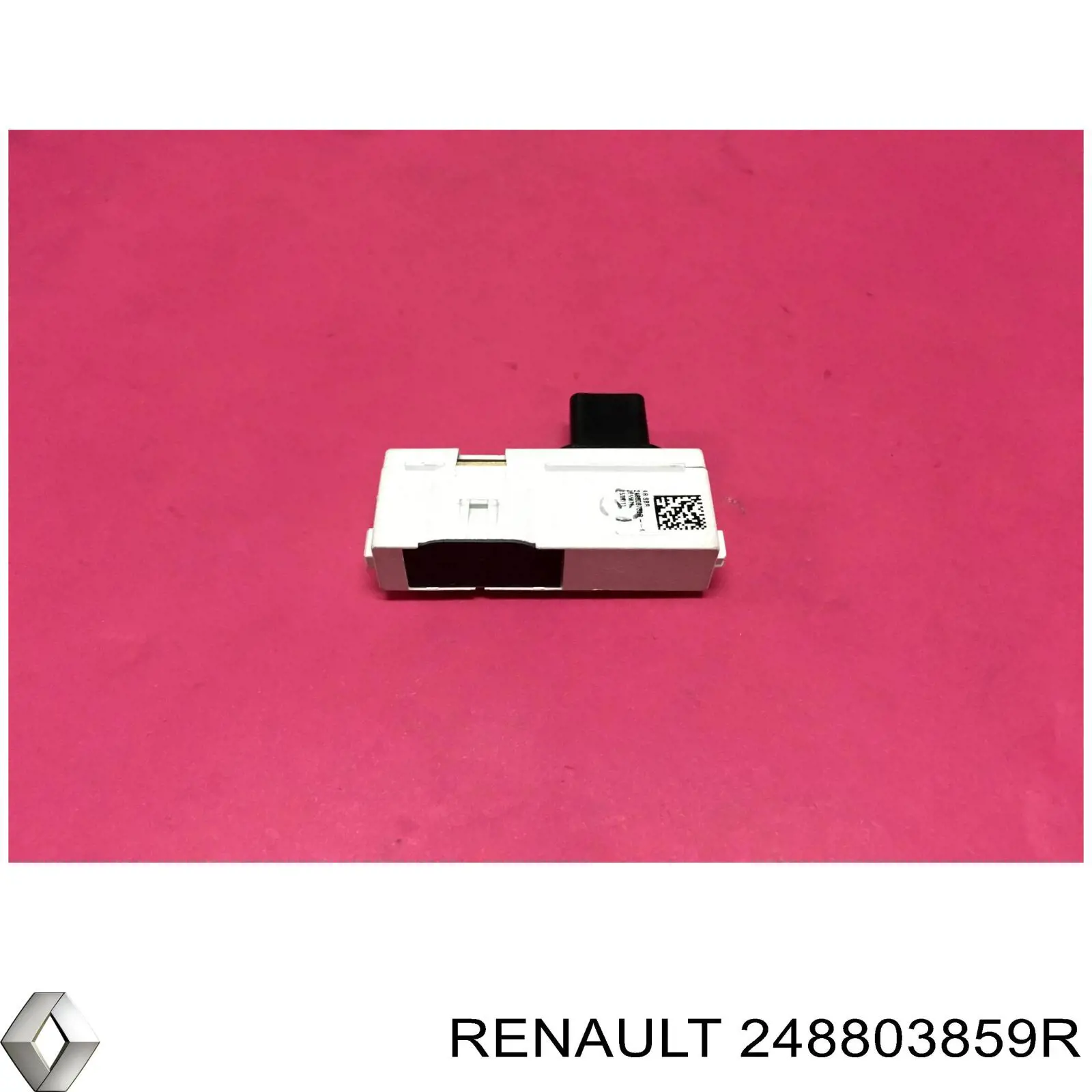  248803859R Renault (RVI)