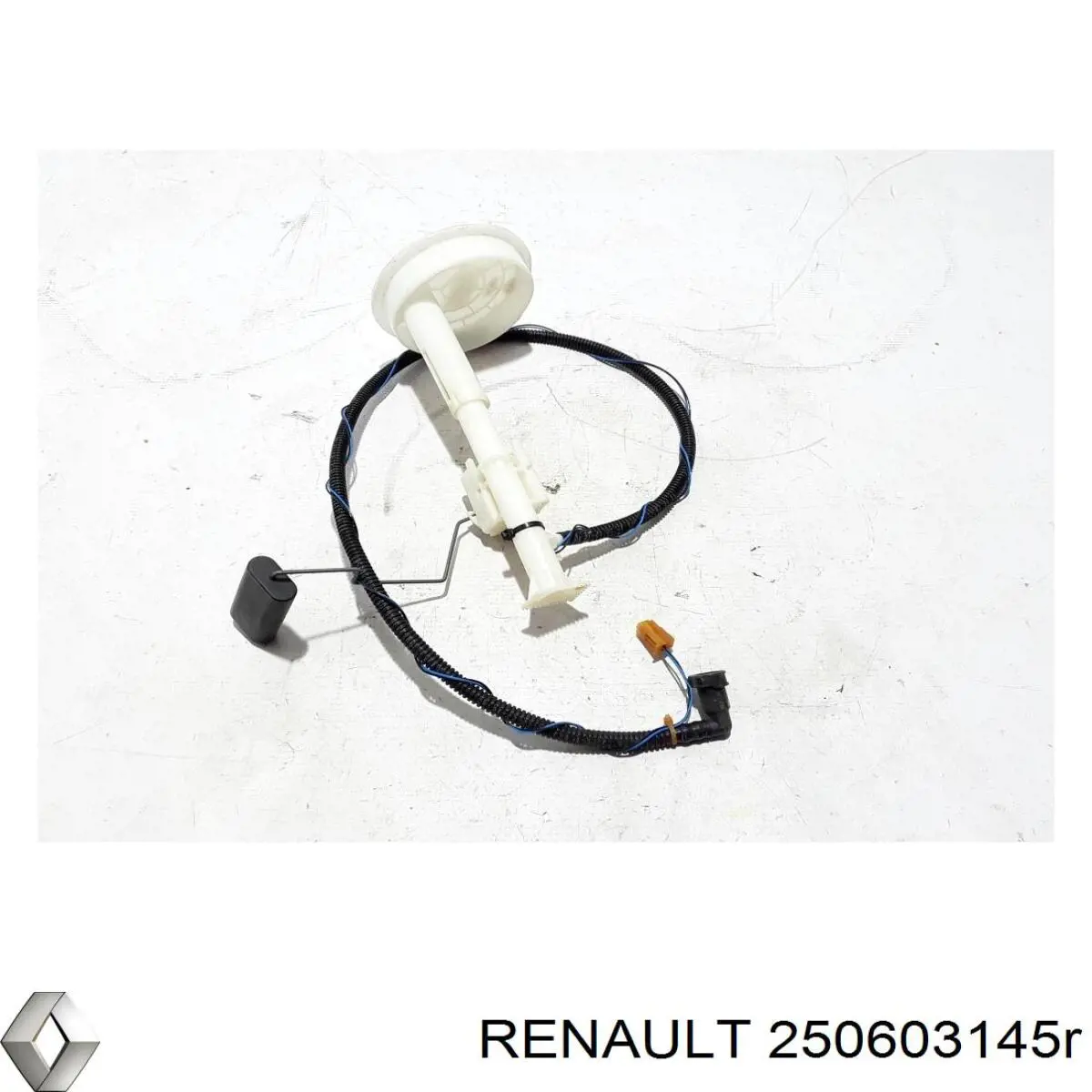 250603145R Renault (RVI) 