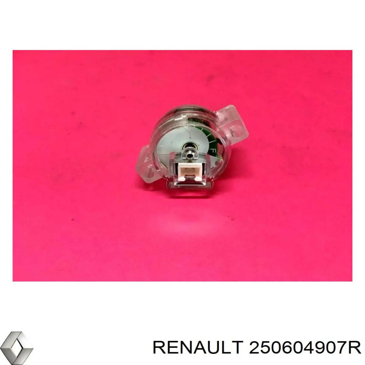  250604907R Renault (RVI)