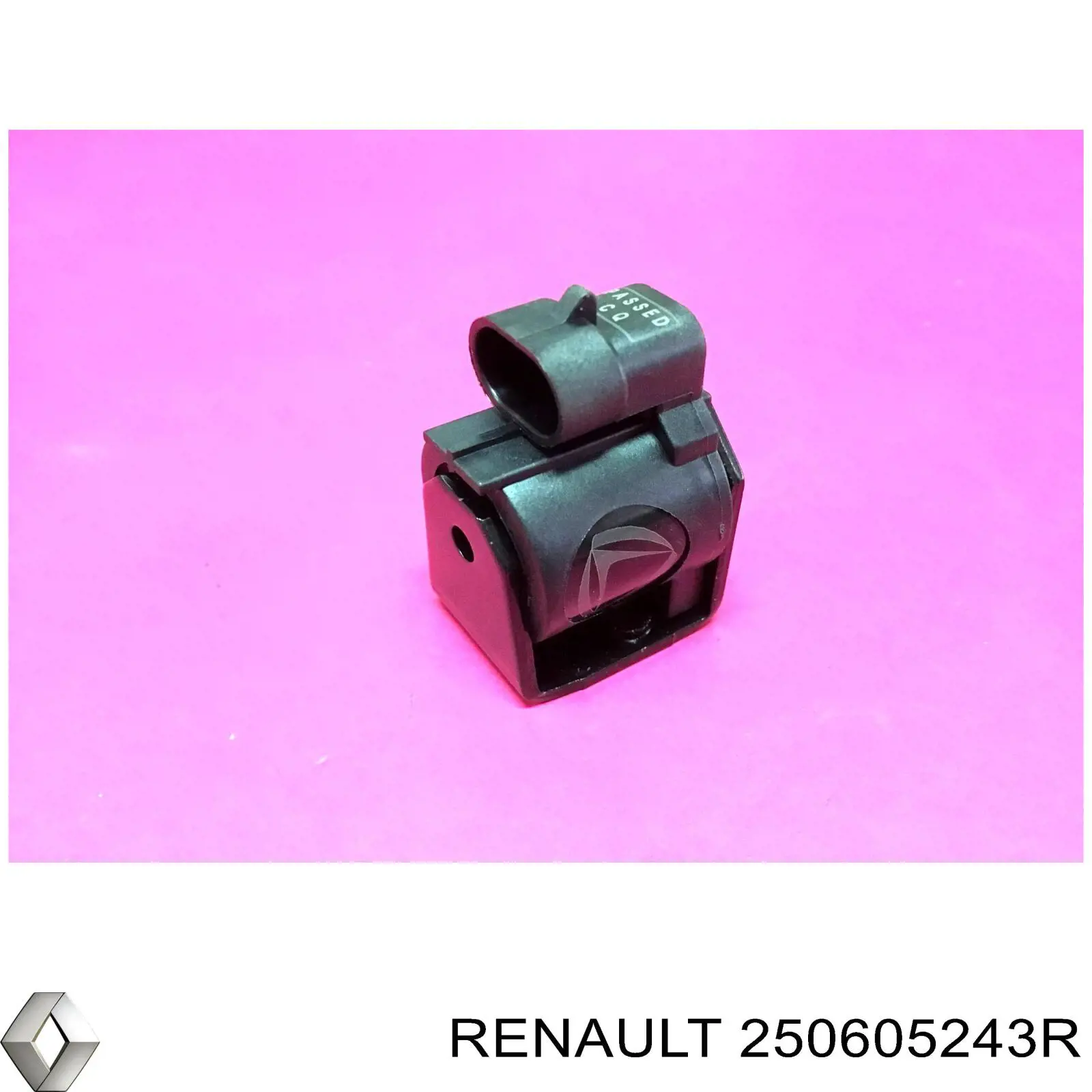 250605243R Renault (RVI) 