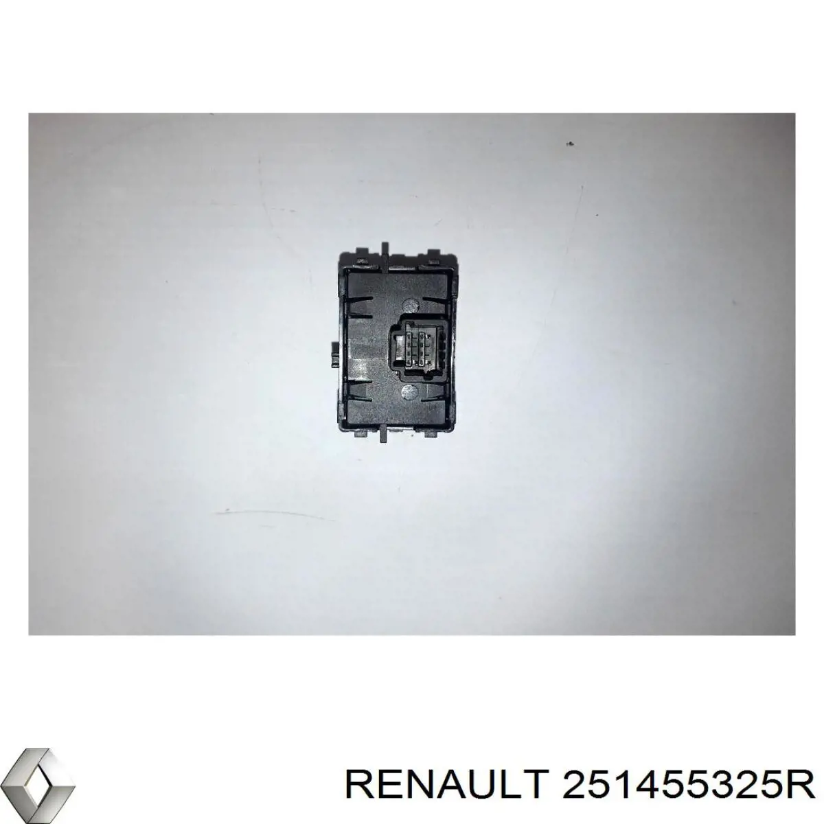 251455325R Renault (RVI) 