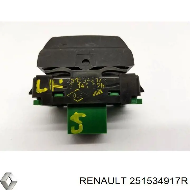 251534917R Renault (RVI) 