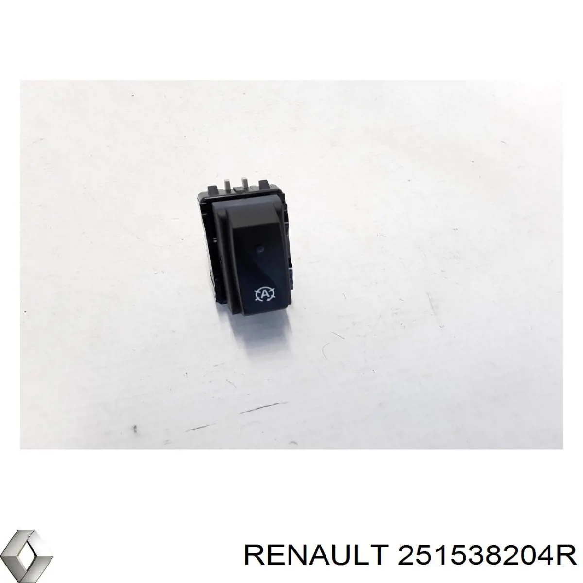  251538204R Renault (RVI)