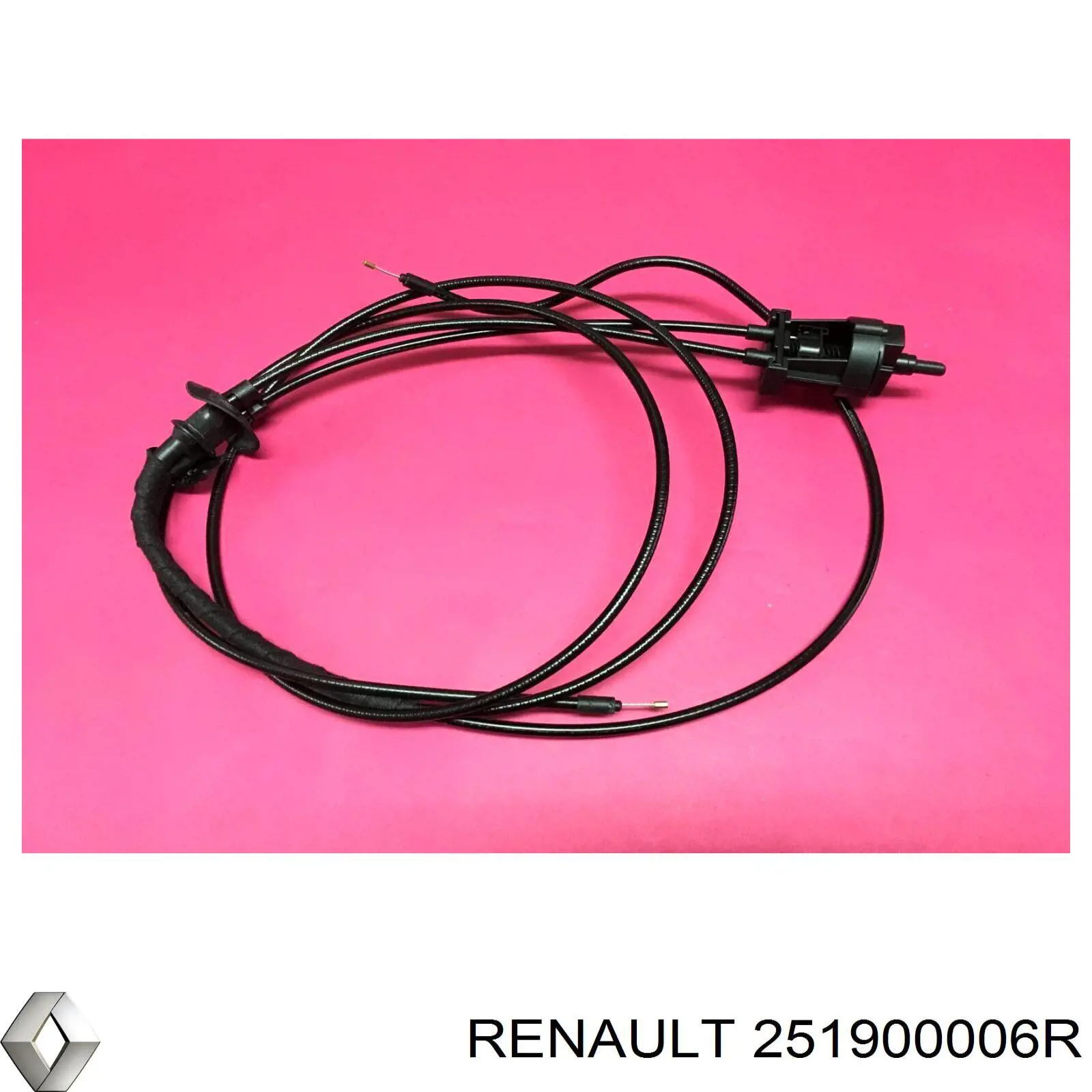 251900006R Renault (RVI) 