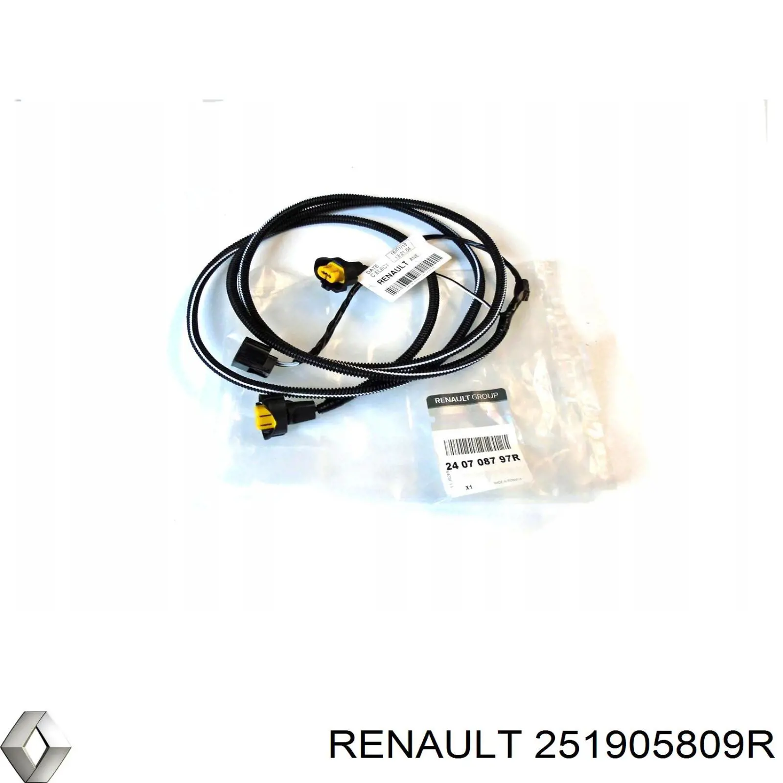  251905809R Renault (RVI)