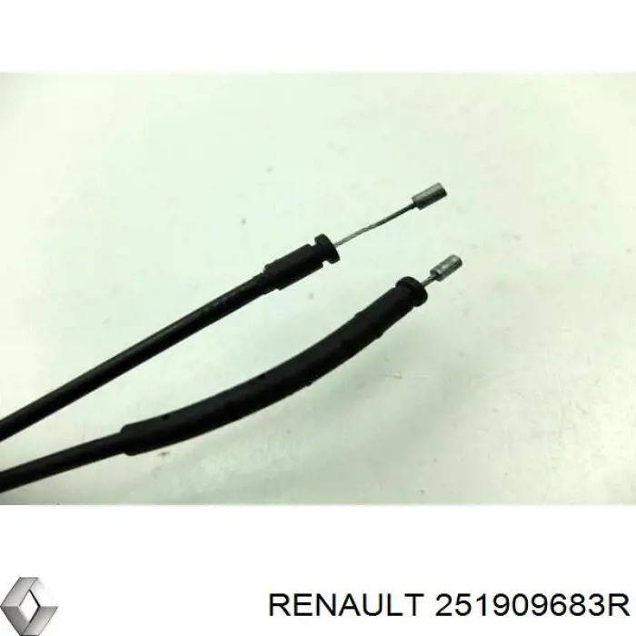 251909683R Renault (RVI) 