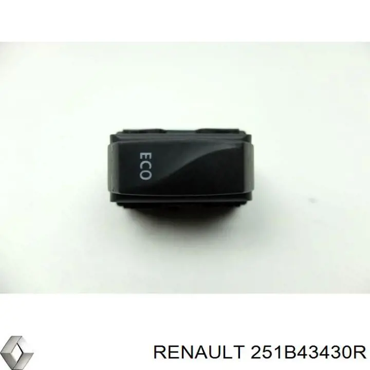  Renault (RVI) 251B43430R цена, от 6.99 USD