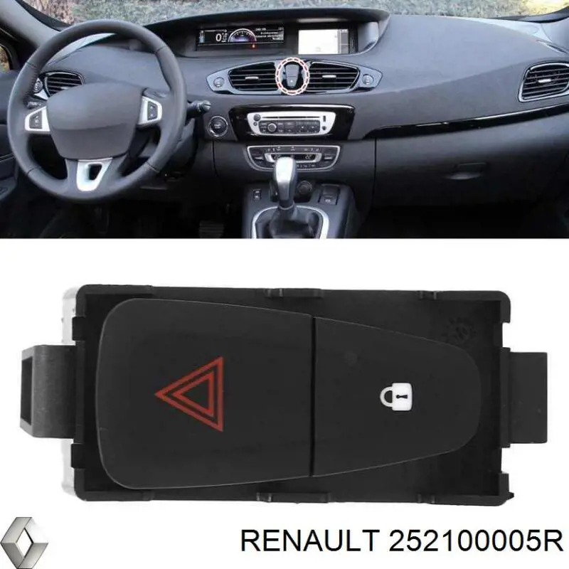 252100005R Renault (RVI)