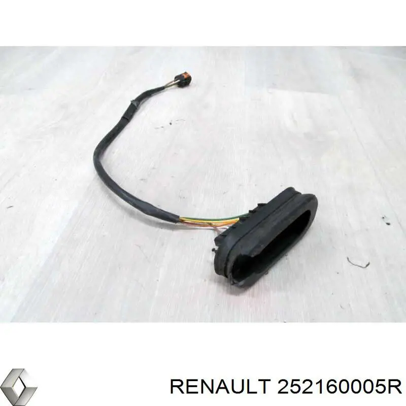  252160005R Renault (RVI)