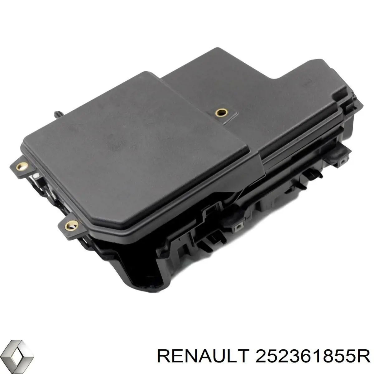 252361855R Renault (RVI) 