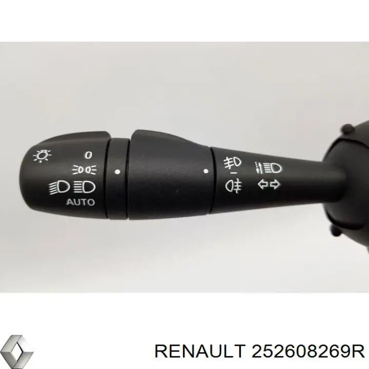  252608269R Renault (RVI)