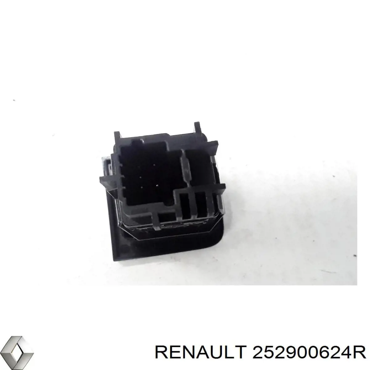 252900624R Renault (RVI) 