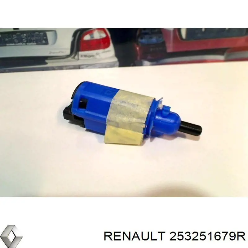 253251679R Renault (RVI)