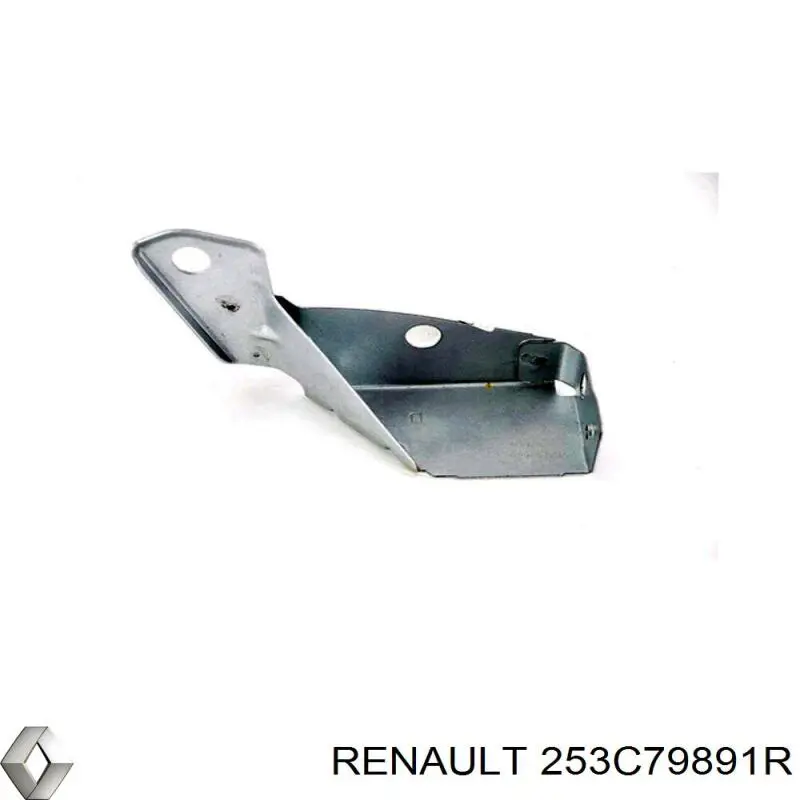  253C79891R Renault (RVI)