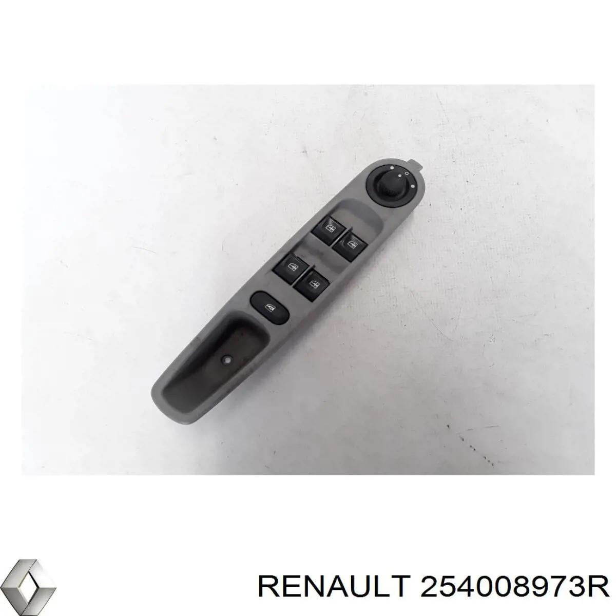  254008973R Renault (RVI)