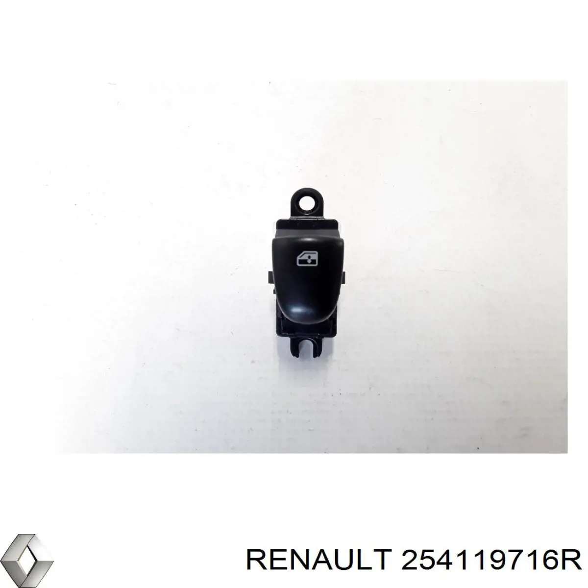 254119716R Renault (RVI) 