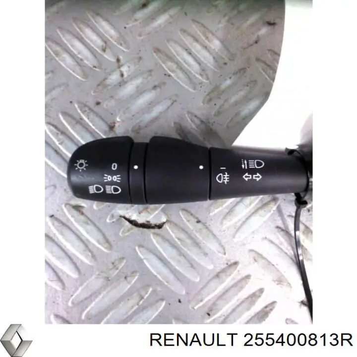  255400813R Renault (RVI)