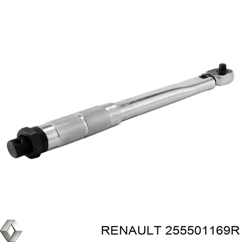 255501169R Renault (RVI) 