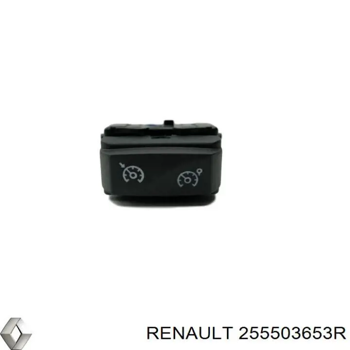 Renault (RVI) 255503653R цена, от 19.00 USD
