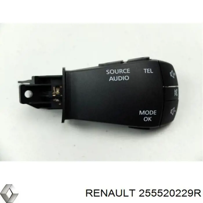 255520229R Renault (RVI) 