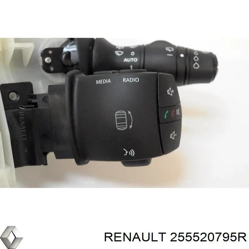  255520795R Renault (RVI)