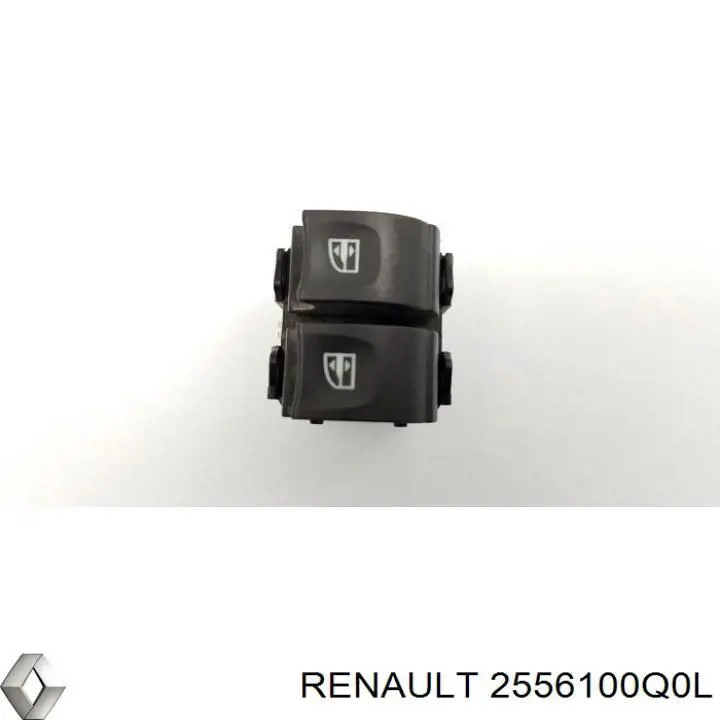 2556100Q0L Nissan/Infiniti 