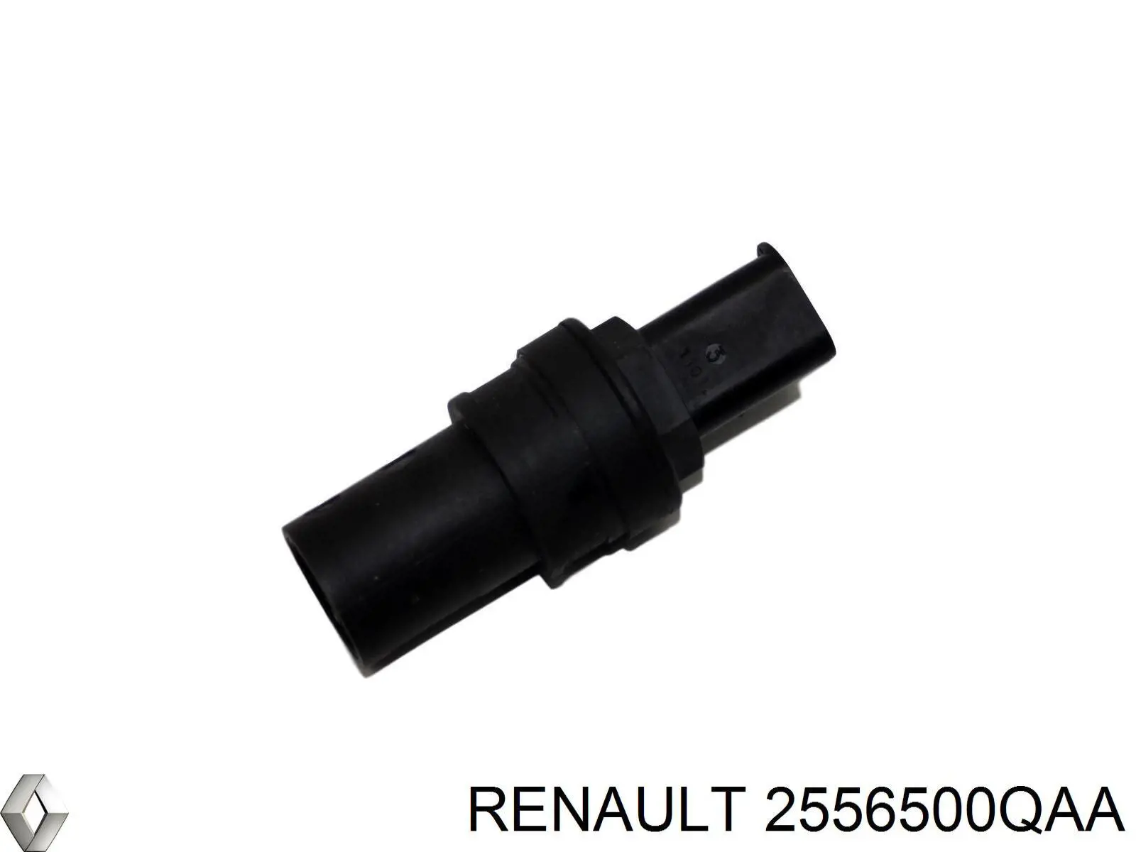  2556500QAA Renault (RVI)