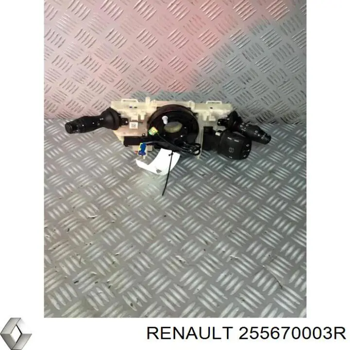 255670003R Renault (RVI) 