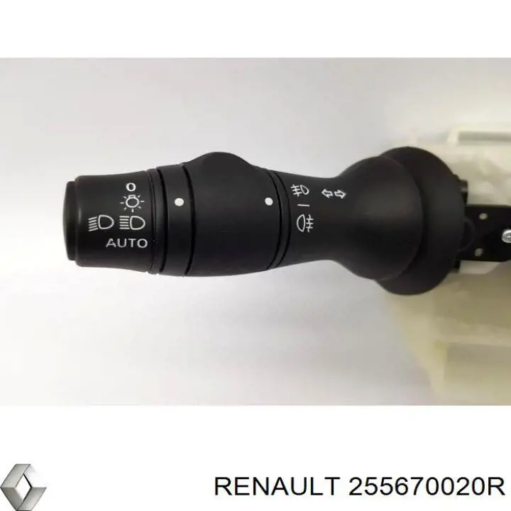255670020R Renault (RVI) 