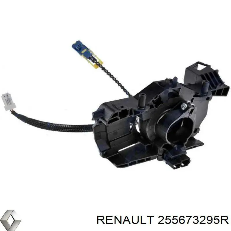 255673295R Renault (RVI)