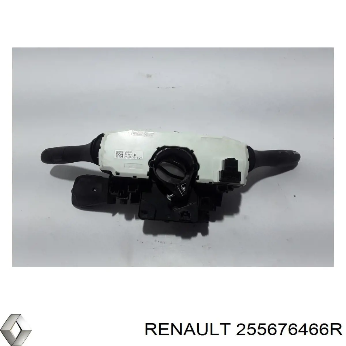  255676466R Renault (RVI)