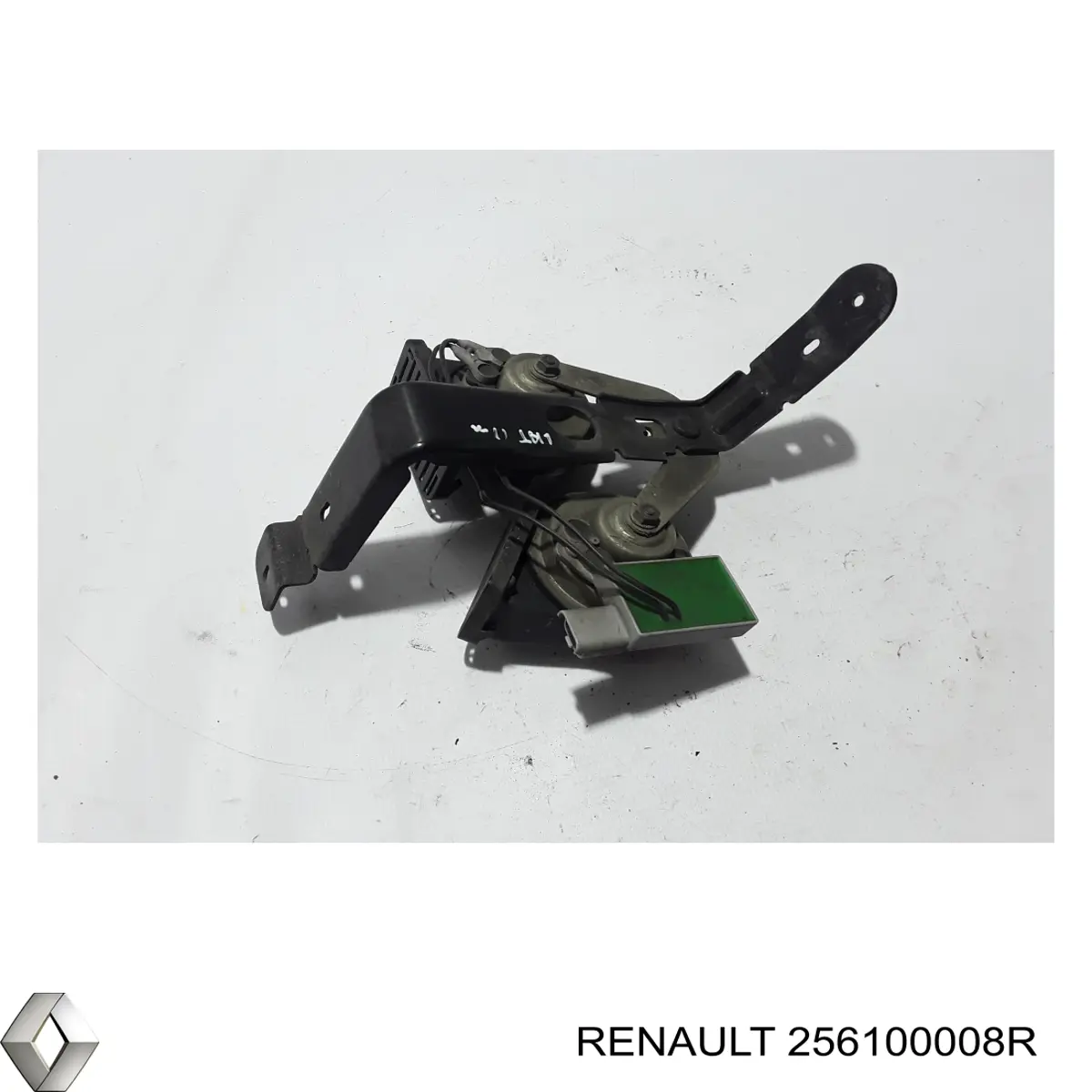 256100008R Renault (RVI) 