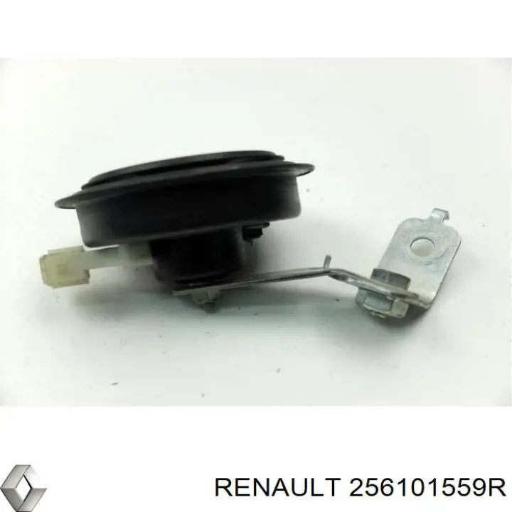  Renault (RVI) 256101559R цена, от 8.88 USD