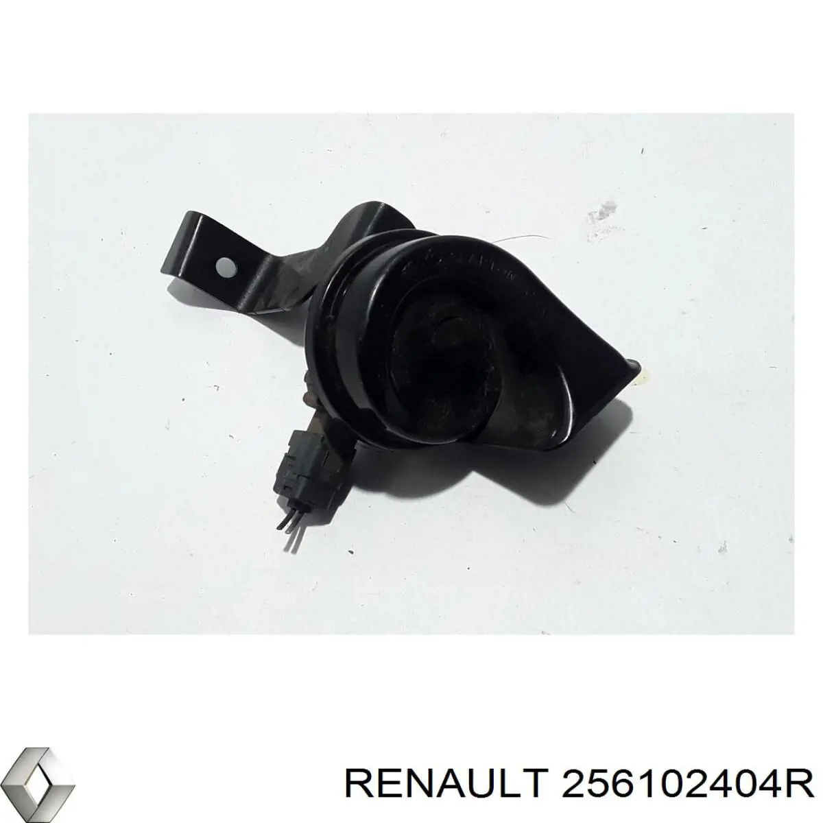 256102404R Renault (RVI)