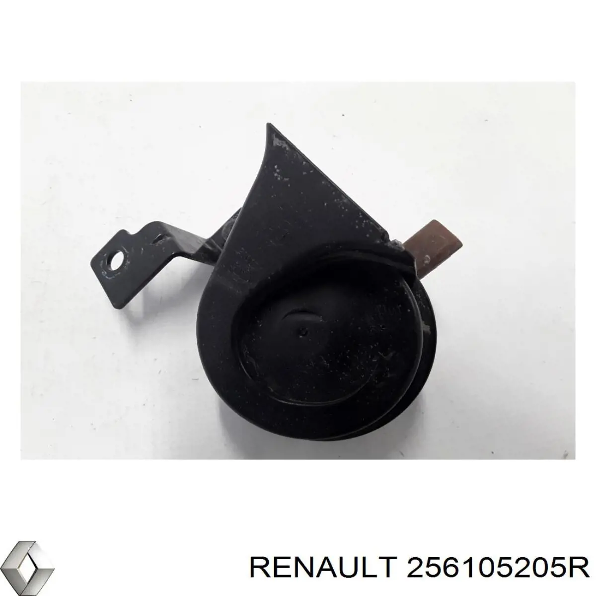 256105205R Renault (RVI)