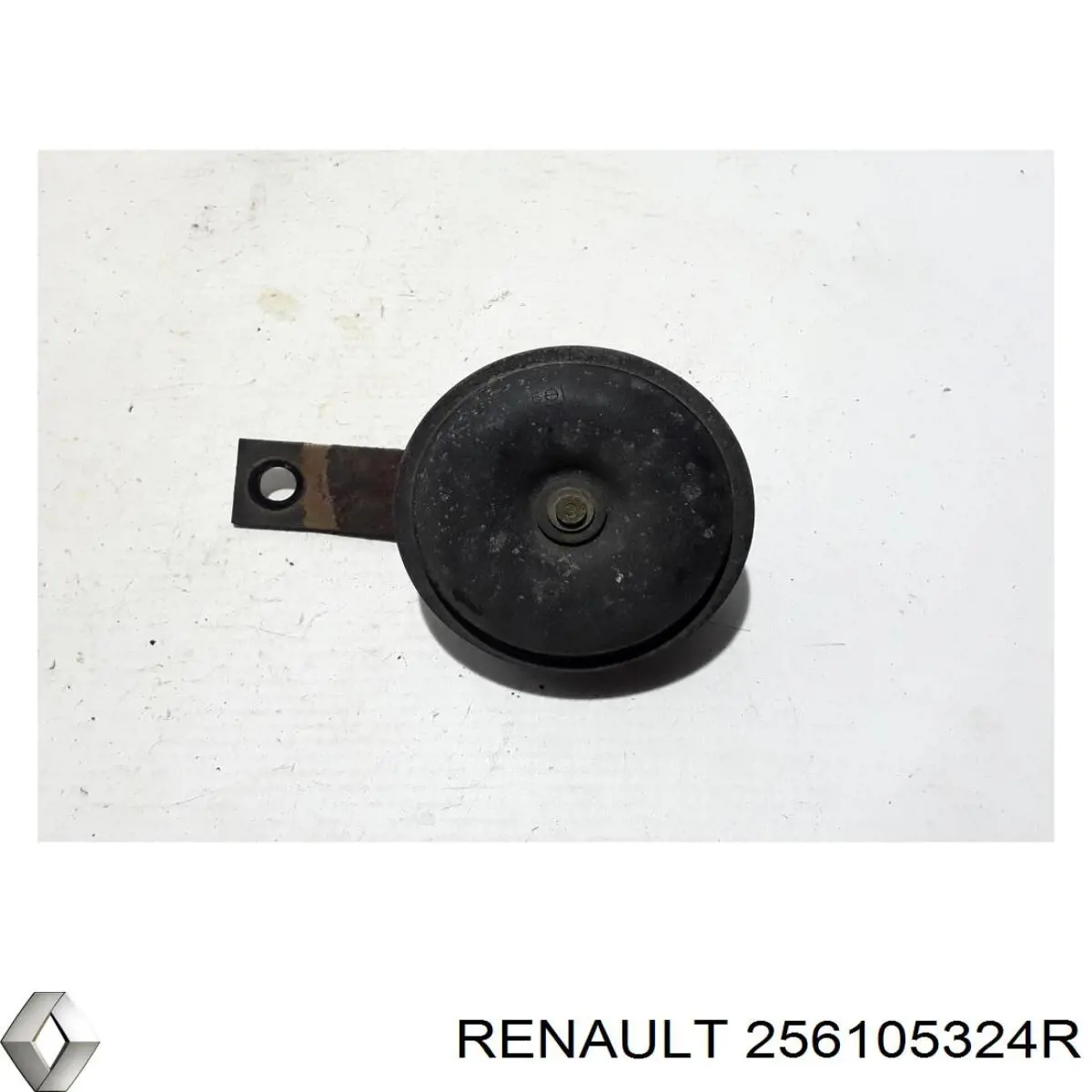 256105324R Renault (RVI) 