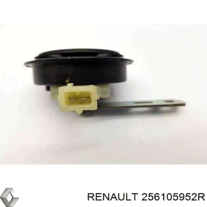  256105952R Renault (RVI)