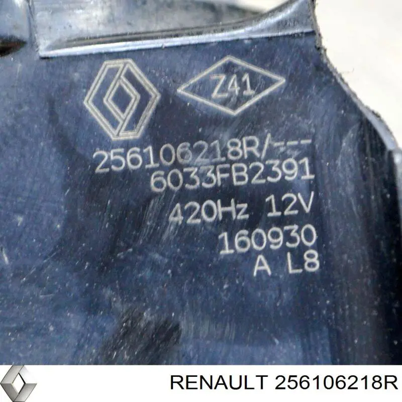  Renault (RVI) 256106218R