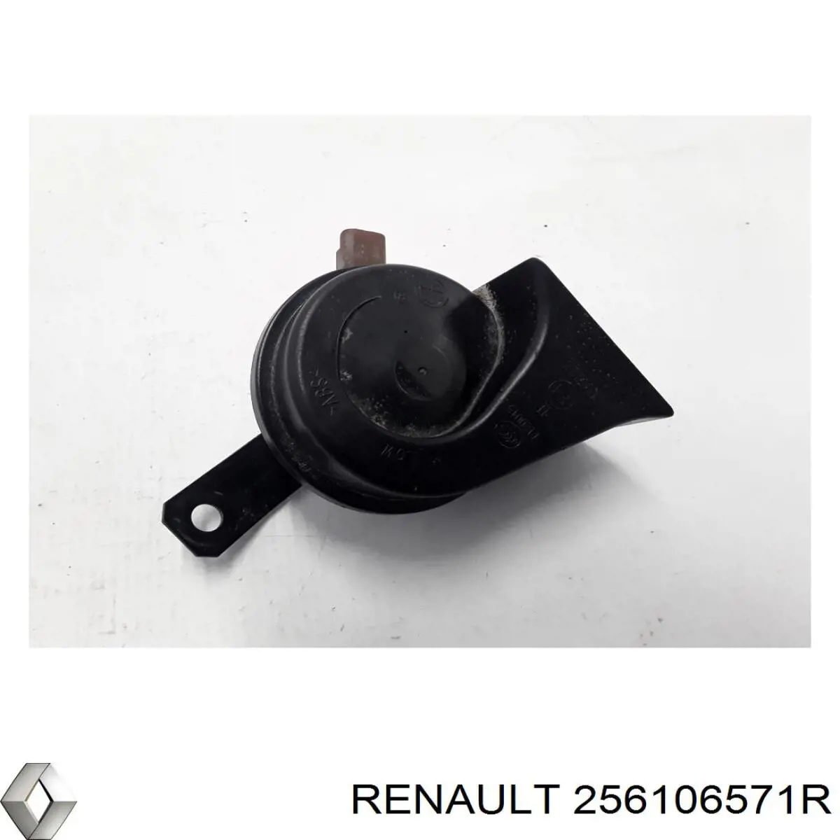 256106571R Renault (RVI)