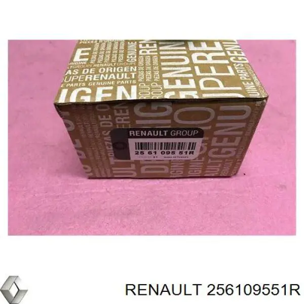 Сигнал звуковой (клаксон) на Renault Scenic GRAND III 