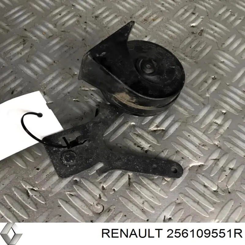 256109551R Renault (RVI)