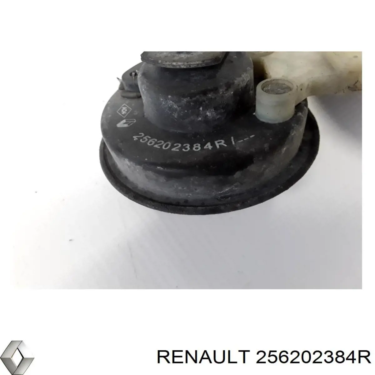  256202384R Renault (RVI)