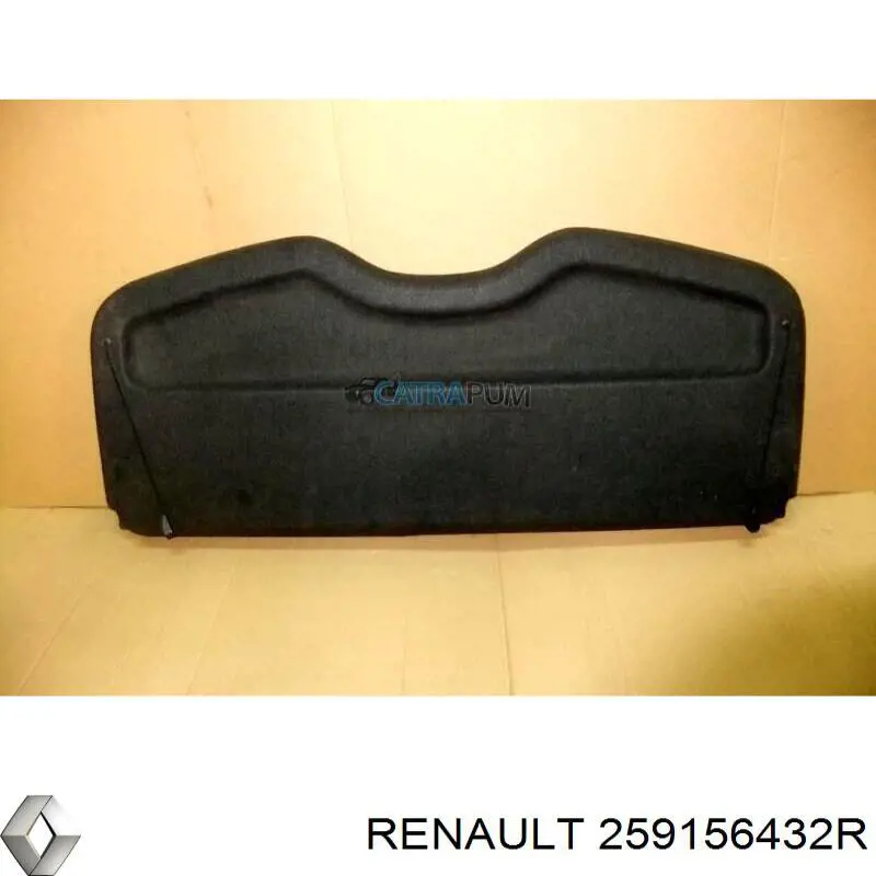 Дисплей бортового компьютера Renault (RVI) 259156432R