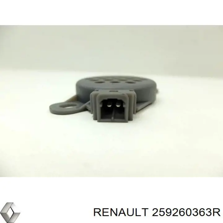 259260363R Renault (RVI)