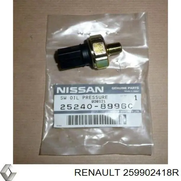  259902418R Renault (RVI)