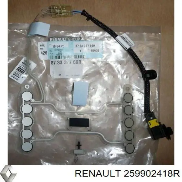 259902418R Renault (RVI) 