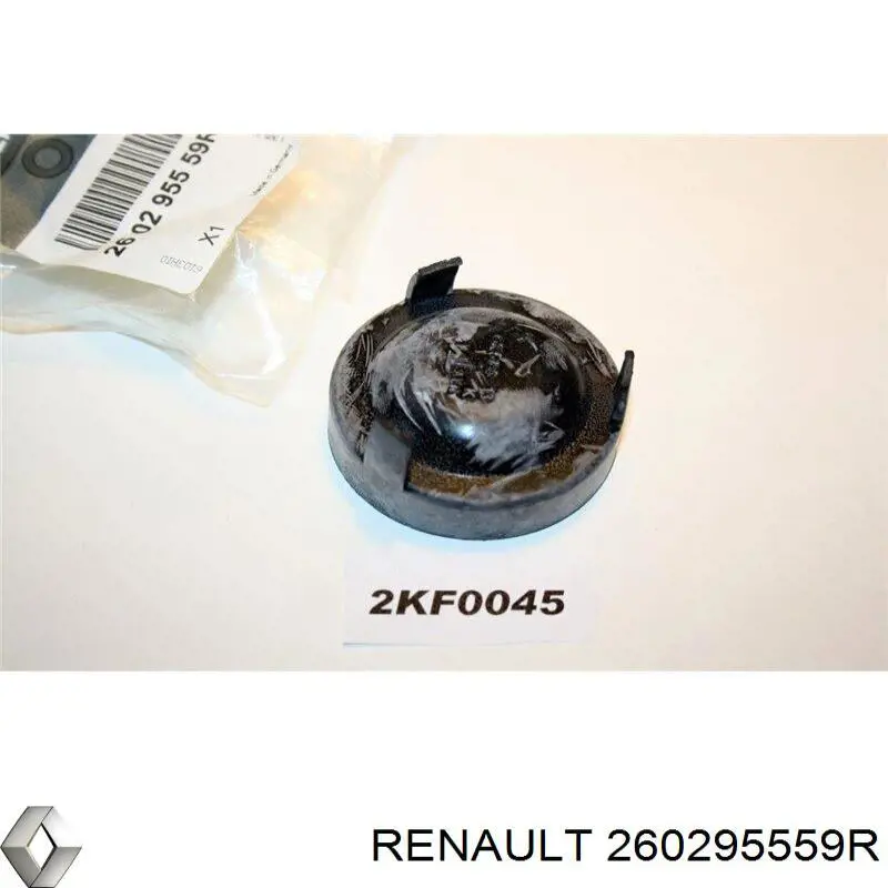 260295559R Renault (RVI) 